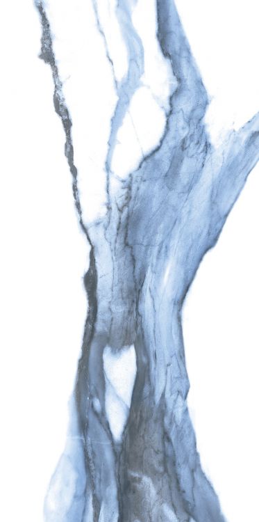 Calacatta Blue Matte 12 x 24